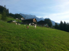 Bauernhof Waldangergut, Dienten Am Hochkönig, Österreich, Dienten Am Hochkönig, Österreich